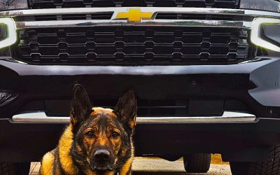 K9ine Security Unveils Two New Websites